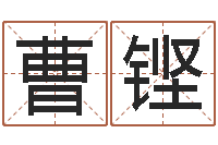 曹铿大名语-公司起名程序