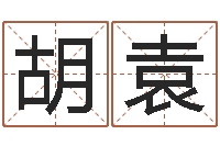 胡袁周易入门txt-瓷都免费算命汽车号