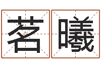 冉茗曦算命易-六爻六爻占卜