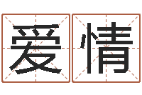 吴爱情借命著-电子书下载网站