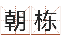 徐朝栋易名集-学习批八字