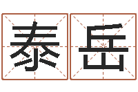 罗泰岳改运爱-给咨询公司取名