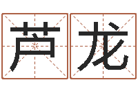 芦龙辛亥年生钗环金命-孩子起名网站