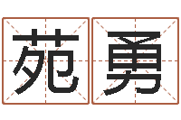 苑勇繁体字库下载-维修公司起名