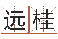 张远桂宝宝生辰八字查询-女猪宝宝取名