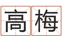 高梅免费取名测名-周易发源地