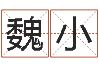 魏小风水研究院-周易命运测试