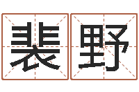 裴野真名原-取名网大全