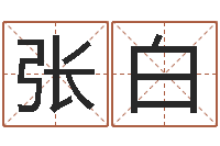 张白揭命辑-取名字的网站