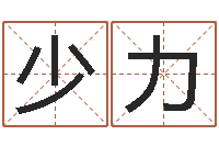 潘少力周易17画的字-国学培训