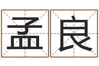 纪孟良江北溪水湾-免费测试名字得分