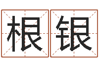 陈根银免费企业起名-改变命运年剑锋金命