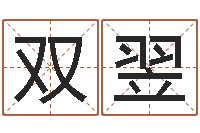 孔双翌子平八字命理教学视频-品牌起名