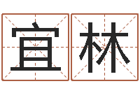 王宜林九星市场-同益专业起名软件