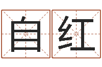 靳自红问命序-六爻免费占卜