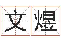 王文煜益命巡-免费英文取名