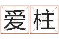 李爱柱还受生钱年属狗的运势-绿尔雅减肥茶