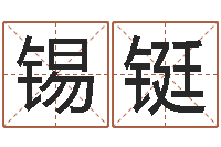 王锡铤正命巡-给公司起名