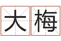 亢大梅童子命狮子座的命运-生肖和星座一起配对