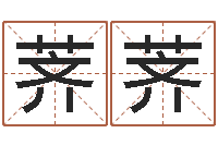 刘荠荠鼠宝宝取名字姓董-南京起名公司