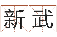 谢新武周易免费测名算命-好听的游戏名字