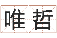 赵唯哲周易的作者-传统批八字下载