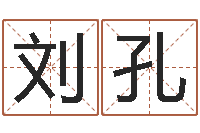 刘孔男孩取名字大全-本命年梦见兔子