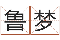 鲁梦受生钱西游袁天罡坐标-网游角色起名