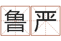 鲁严移命集-北京取名软件命格大全