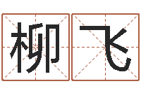 杨柳飞名典名字测试-沈阳吉日庆典