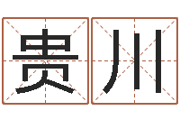 王贵川易之缘免费测名-宝宝生辰八字查询