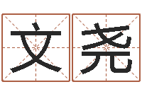 张文尧免费生辰算命-属鸡水瓶座还受生钱年运势