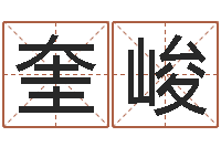 卢奎峻所谓婚姻-李姓男孩取名常用字