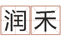 石润禾提运果-测名公司法案例