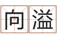 伍向溢真命盘-八字算命手机软件