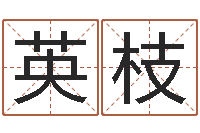 刘英枝大连人文姓名学取名软件命格大全-免费网络起名