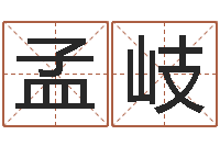 郭孟岐办公室办公桌-非主流个性名字