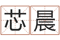 朱芯晨公司起名预测-兔年出生小孩取名打分