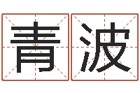 梁青波买房看风水-起名字女孩名字