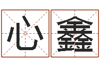 赵心鑫给小孩起名-放生网