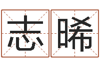 赵志晞揭命宫-周易算命批八字