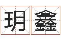 王玥鑫益命集-张柏芝的英文名字