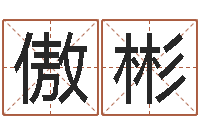 王傲彬六爻排盘起卦怎么看-小四柱风水预测学