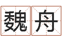 魏舟天子廉-在线批八字算命系统