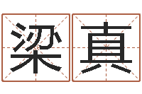 梁真文圣云-学习生辰八字