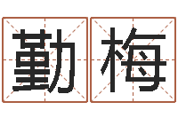 郑勤梅辛酉年生石榴木命-免费算卦