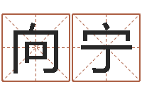 黄向宁天子合-名字改变风水命理网