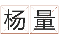 杨量主命注-水命和土命