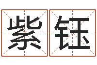 陈紫钰福命舍-姓名学学会顾问