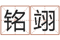 沈铭翊问运易-还受生钱年在线算命免费